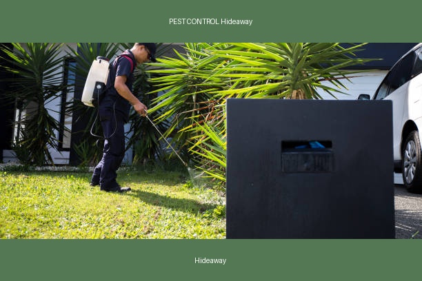 PEST CONTROL Hideaway